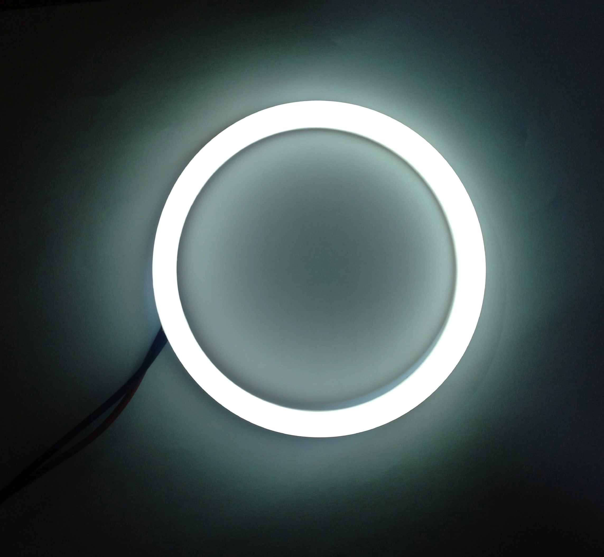 رینگ لایت سفید 12 ولت سایز 10 اینچ دانش نور مدل DN-R10 White