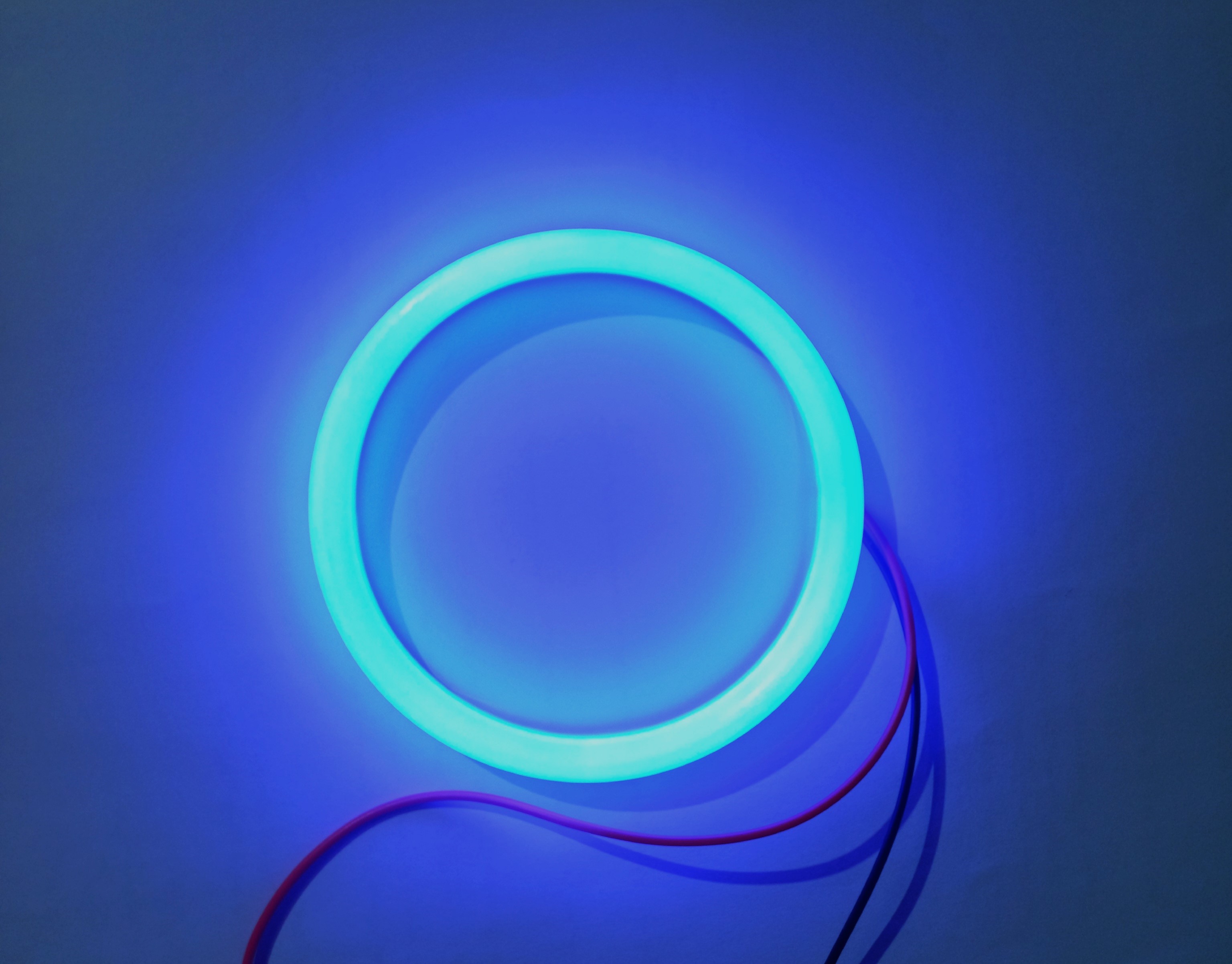 رینگ لایت آبی 12 ولت سایز 9 اینچ دانش نور مدل DN-R9 Blue